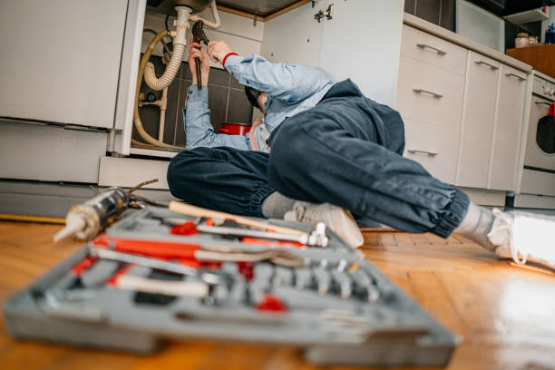 Best Commercial Plumbing Services  in Basalt, CO